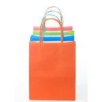 PP Non-Woven Carry Bags