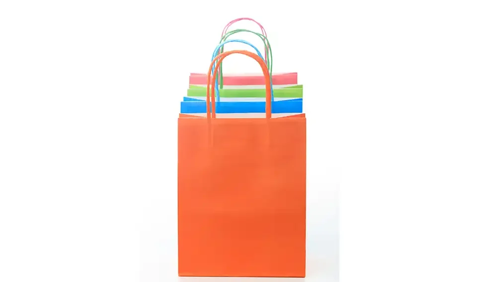 PP Non-Woven Carry Bags