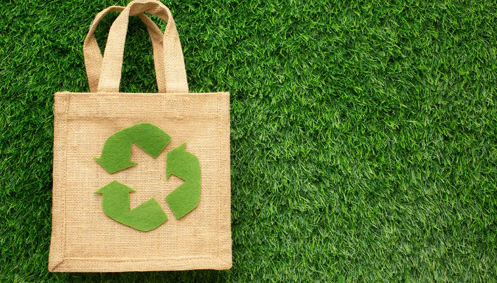 What Are Eco-Friendly bags