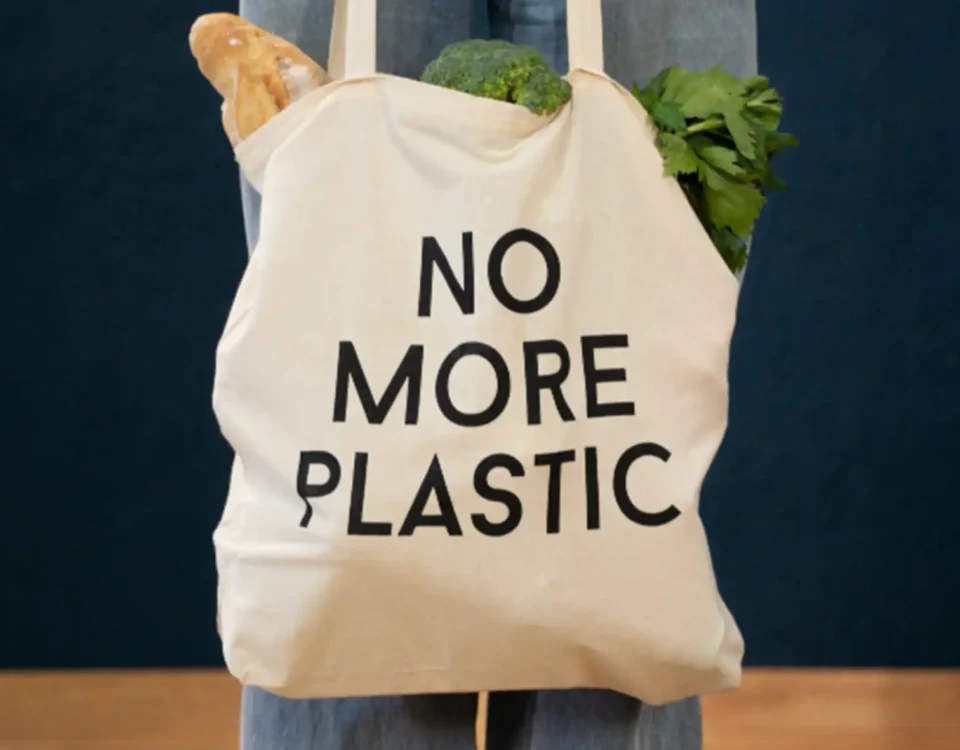 EU Plastic Bag Ban