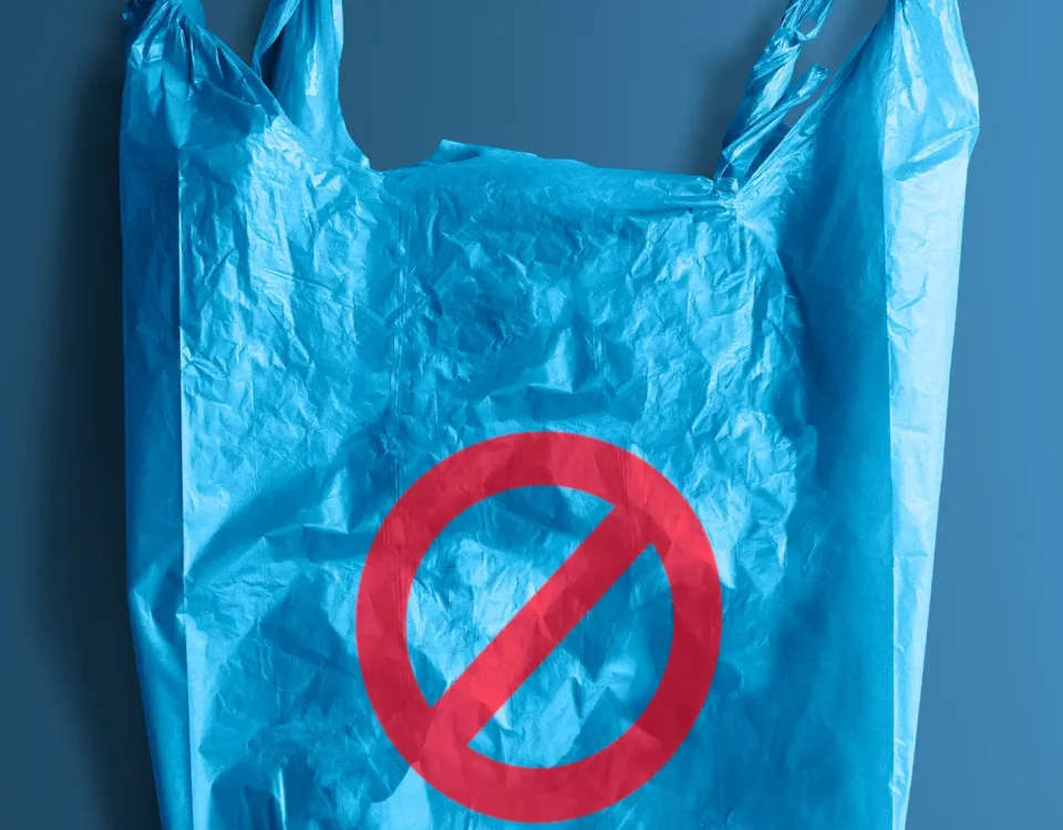 Plastic Bag Ban