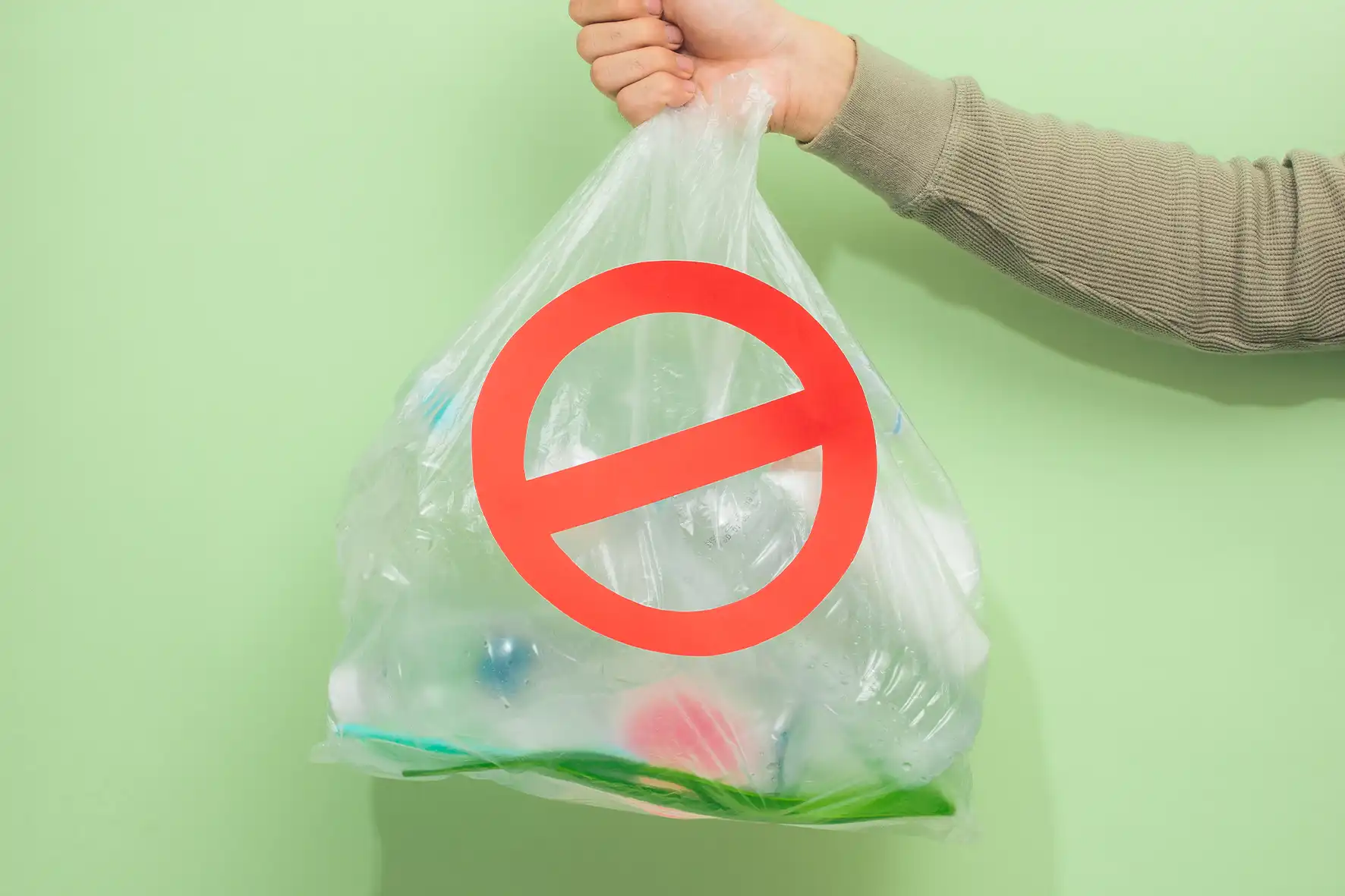 Plastic Bag Ban